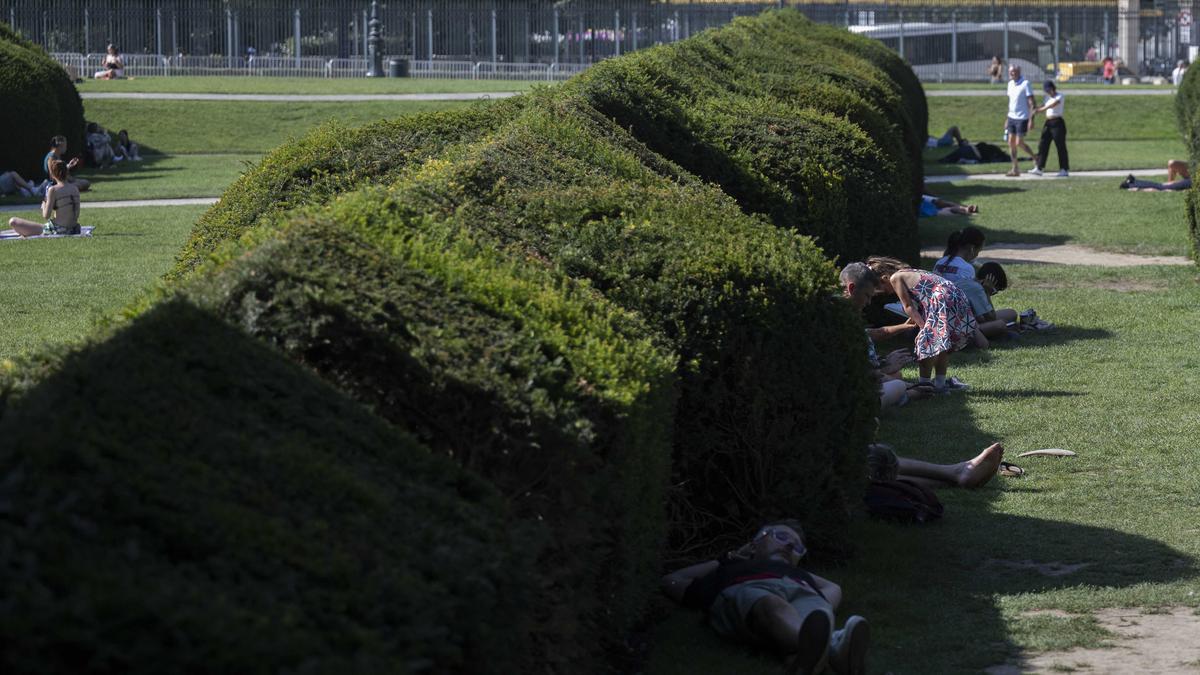 Panas Ekstrem Landa Prancis, Suhu Capai Tingkat Luar Biasa
