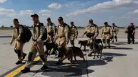 Ceko Kirim Anjing Pelacak ke Lebanon Cari Korban Ledakan di Beirut