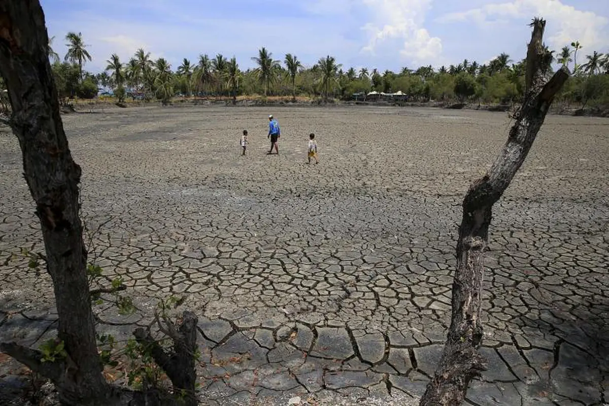 Kekeringan akibat dampak El Nino 