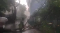 Hujan Lebat di Jakarta, Pohon di Juanda dan Cawang Tumbang