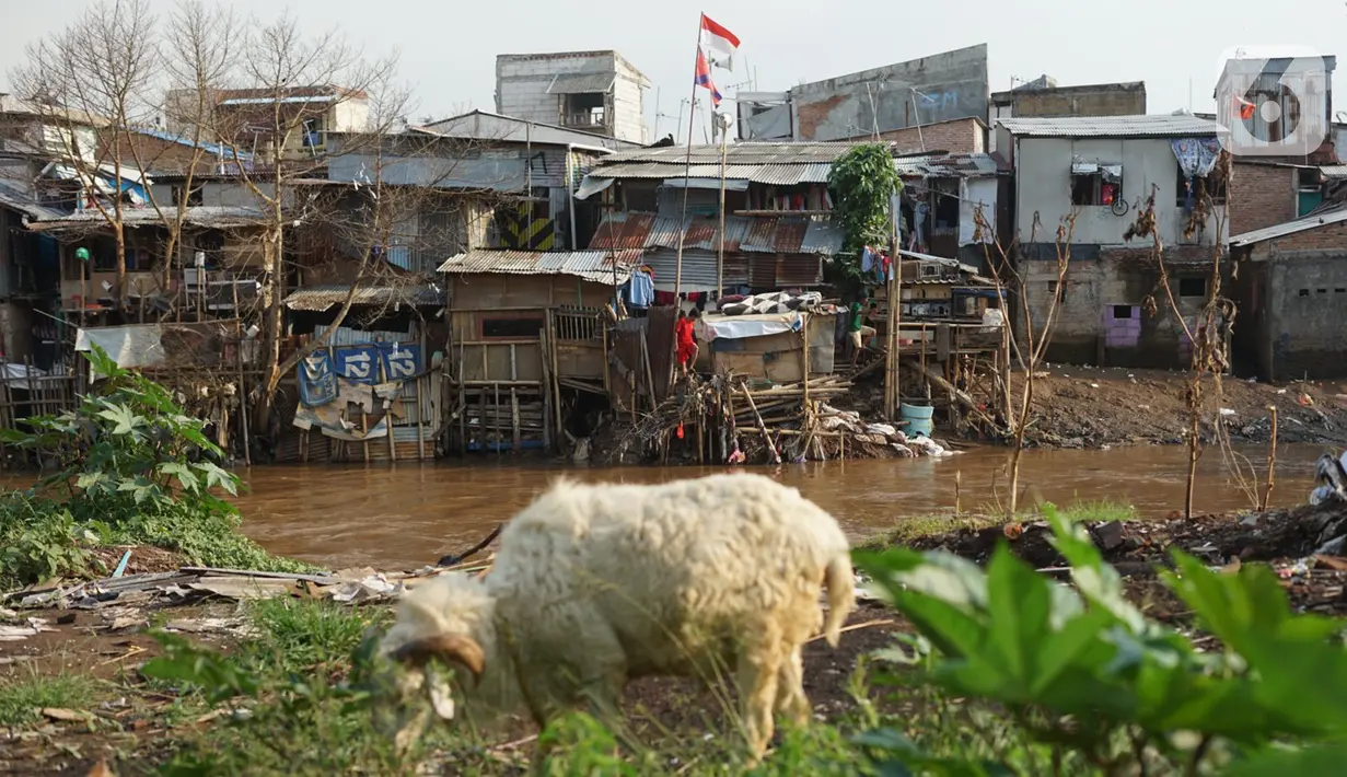 Deretan permukiman penduduk semi permanen di bantaran Sungai Ciliwung, Jakarta, Senin (5/10/2020). Pemprov DKI mencatat kenaikan angka kemiskinan Jakarta sebesar 1,11 persen menjadi 4,53 persen pada bulan September 2020 karena terdampak pandemi COVID-19. (Liputan6.com/Immanuel Antonius)