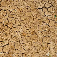 Ilustrasi kemarau dan kekeringan | unsplash.com/@danielcgold dan unsplash.com/@redcharlie