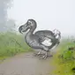 Ilustrasi burung dodo. (Unsplash/Beeldbewerking)
