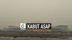 Kementrian Perhubungan tidak mengeluarkan larangan penerbangan di bandara-bandar yang terdampak kabut asap. Namun Kemenhub meminta operator penerbangan lebih berhati-hati dengan adanya  kabut asap.