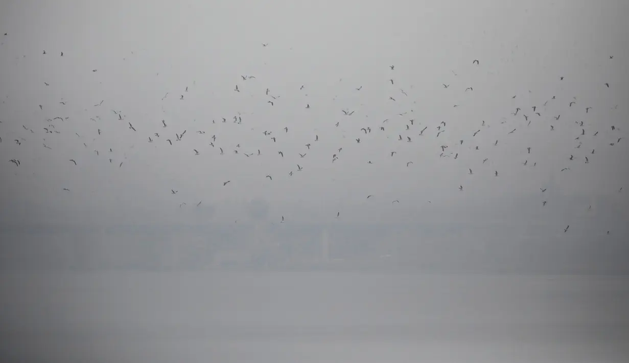 Burung-burung terbang dalam asap akibat polusi udara menyelimuti Seoul, Korea Selatan, 12 Maret 2019. Pemerintah mengirimkan pesan teks darurat yang mendesak warga tidak banyak pergi keluar rumah. (REUTERS/Kim Hong-Ji/File Photo)