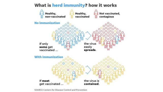 Herd Immunity Efektif Hentikan Wabah Virus Corona? - Bisnis ...