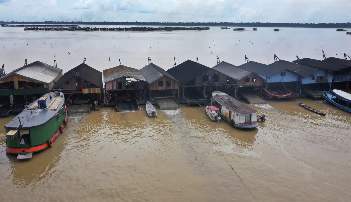 Tongkang pengerukan yang dioperasikan penambang ilegal berkumpul di anak Sungai Amazon, Sungai Madeira, di Autazes, Amazonas, Brasil, 25 November 2021. Ratusan tongkang penambangan telah tiba selama dua minggu terakhir setelah desas-desus tentang emas menyebar. (AP Photo/Edmar Barros)