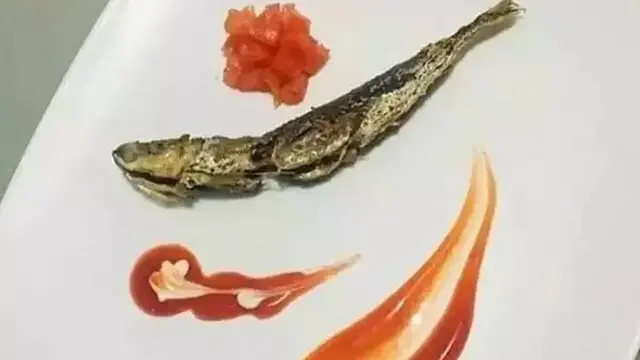 8 Cara Plating Makanan ala Netizen Ini Bikin Geleng Kepala, Kreatif Banget