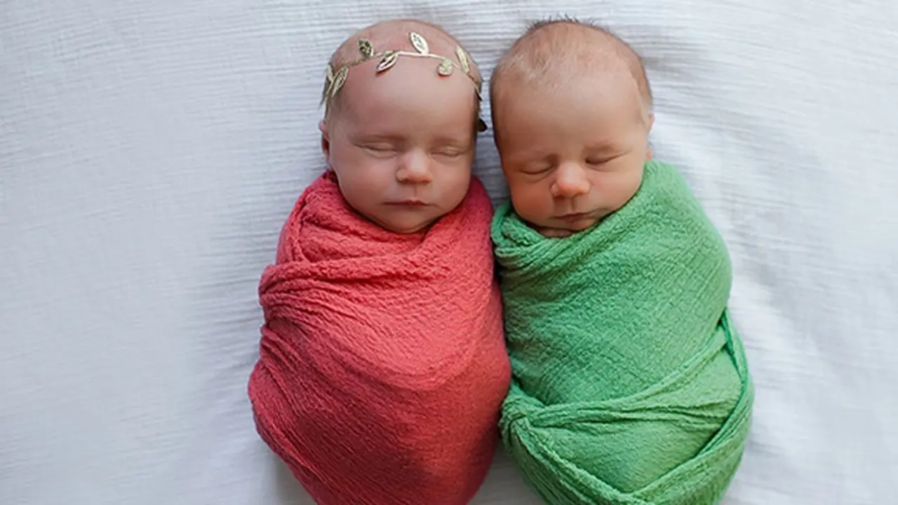 Foto: copyright boredpanda.com