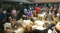 Pasar Kambing Karangpucung, Cilacap selalu ramai menjelang Perayaan Idul Adha 2018. (Foto: Liputan6.com/Muhamad Ridlo)