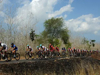 Ratusan pebalap melintasi jalur Tour De Banyuwangi Ijen yang melewati salah satu perkebunan di wilayah Kabupaten Banyuwangi Jawa Timur, (16/10/2014). (Liputan6.com/Helmi Fithriansyah)