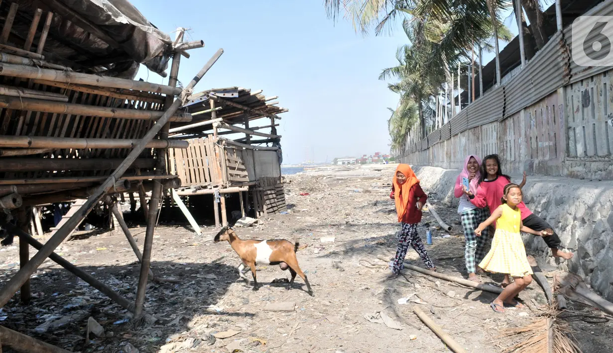 Anak-anak bermain di pesisir Kampung Baru, Cilincing, Jakarta, Selasa (22/10/2019). Mayoritas penduduk Kampung Baru atau biasa dikenal Kampung Nelayan adalah pendatang dari luar Jakarta yang kebanyakan berprofesi sebagai nelayan dan buruh kasar. (merdeka.com/Iqbal Nugroho)
