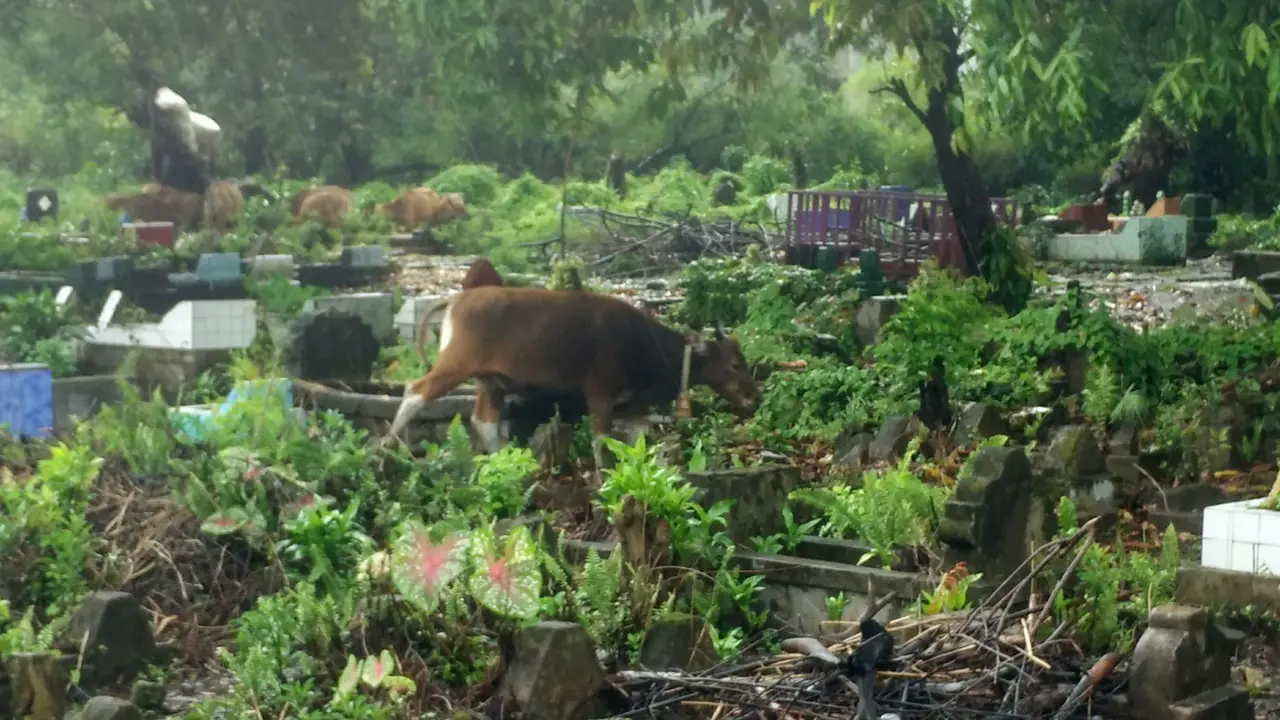 Kuburan di Makassar Mengerikan dan Mengenaskan