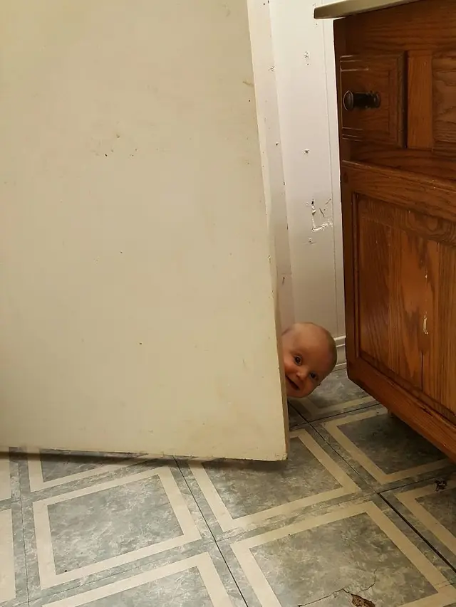 tingkah konyol anak-anak (foto: Boredpanda)