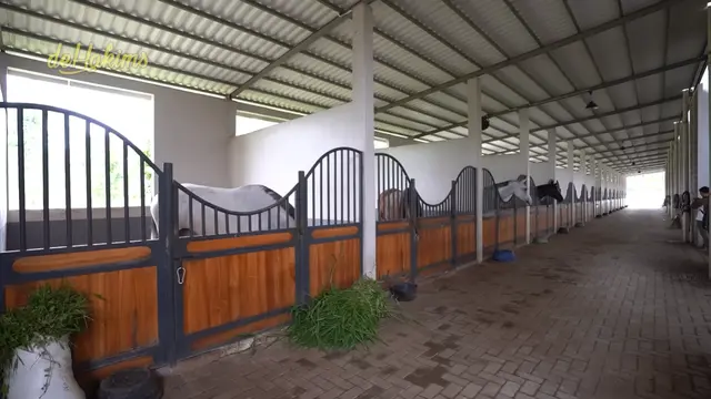 Stable Kuda Nabila Syakieb