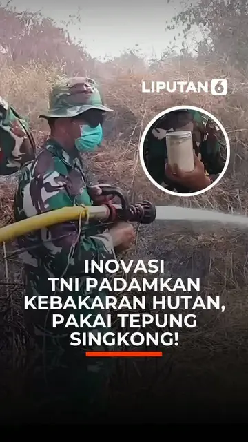 Inovasi TNI Padamkan Kebakaran Hutan, Pakai Tepung Singkong!