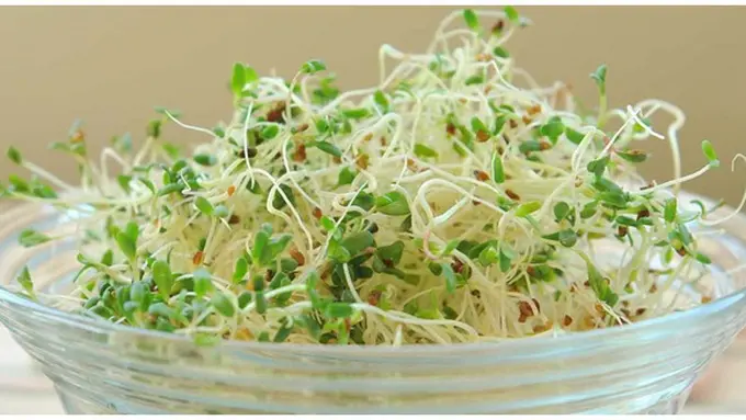 (C) bluemoonacre.com