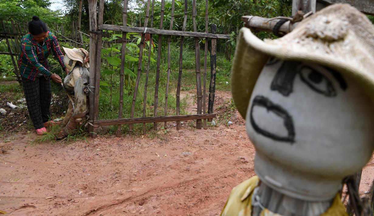 Seorang perempuan mendirikan orang-orangan sawah di depan rumahnya di provinsi Kampong Cham, Kamboja, 11 Oktober 2020. Penduduk di desa itu mebuat orang-orangan sawah atau disebut juga Tim Mong untuk menangkal virus corona  Covid-19 berdasarkan kepercayaan yang mereka yakini. (TANG CHHIN Sothy/AFP)