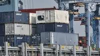 Aktivitas bongkar muat kontainer di dermaga ekspor impor Pelabuhan Tanjung Priok, Jakarta, Rabu (5/8/2020). Menurut BPS, pandemi COVID-19 mengkibatkan ekspor barang dan jasa kuartal II/2020 kontraksi 11,66 persen secara yoy dibandingkan kuartal II/2019 sebesar -1,73. (merdeka.com/Iqbal S. Nugroho)