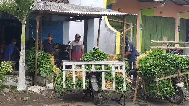 Di Balik Aksi Pedagang Sayur Bagi - bagi dan Buang Dagangan di Malang