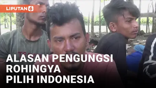 VIDEO: Alasan ke Indonesia, Pengungsi Rohingya: Kita Lihat Pada Kesini