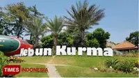 Wisata kebun kurma di Pasuruan. (Times Indonesia/Robert)