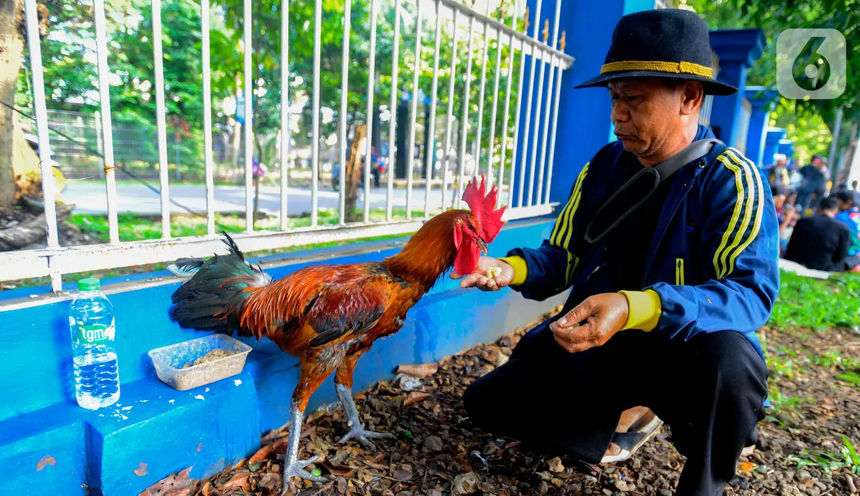 Kegiatan ini dalam rangka HUT Kota Bogor ke 541.(merdeka.com/Arie Basuki)