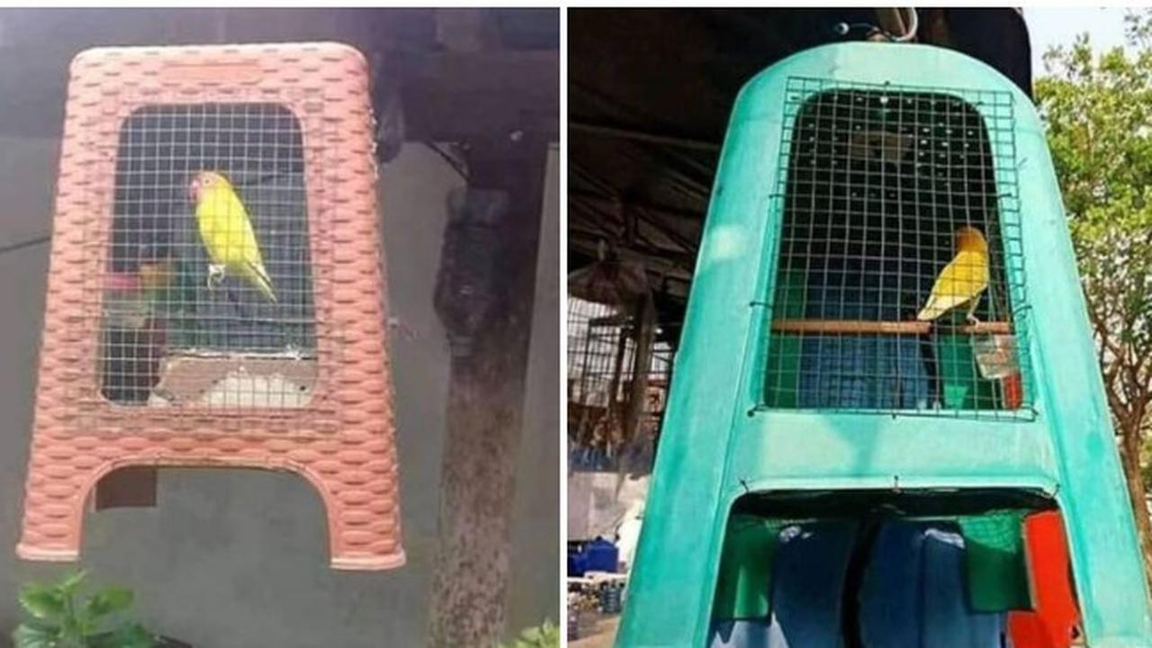 7 Potret Kandang Low Budget Ini Bikin Ngakak