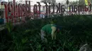 Seorang pekerja sedang menanam tanaman hias di Taman Aktif of Klender, Jakarta, Senin (22/9/2014) (Liputan6.com/Faizal Fanani)