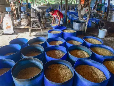 Aktivitas pekerja menyiapkan bahan pembuatan tahu di salah satu sentra produksi kawasan Pasir Putih, Kota Depok,  Jawa Barat, Senin (8/6/2026). (merdeka.com/Arie Basuki)