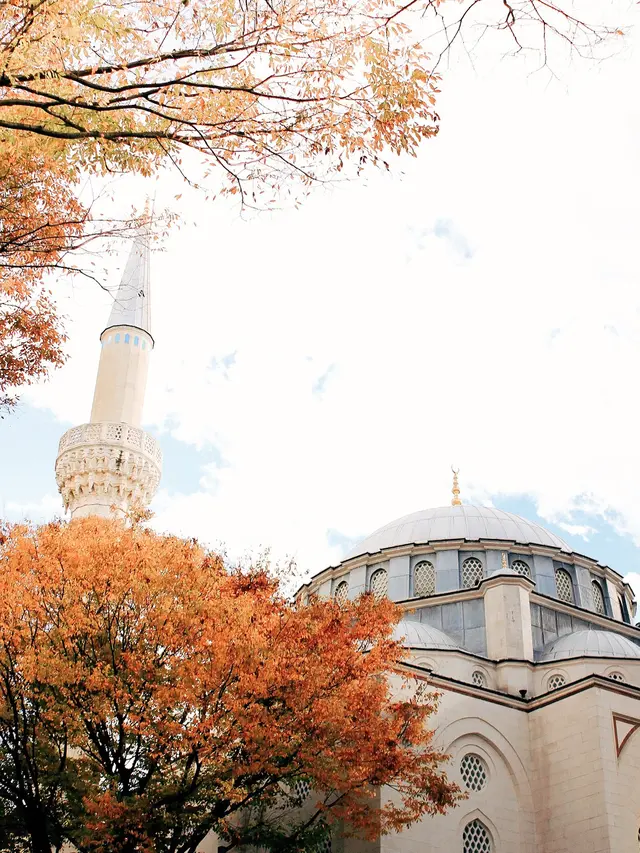 Tokyo Camii