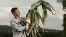 Mark Shepherd berpose dengan daun bawang 6,6 kg yang memenangkan kompetisi pada hari pertama Harrogate Autumn Flower Show di Harrogate, Inggris, 14 September 2018. Berbagai macam hasil kebun berukuran raksasa meramaikan acara ini. (AFP/OLI SCARFF)