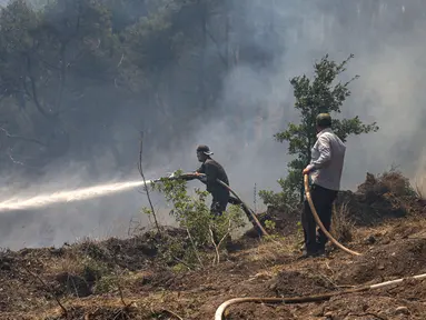 Anggota tim pemadam kebakaran berusaha memadamkan kobaran api di hutan di bagian utara provinsi Latakia Suriah pada 29 Juli 2023, saat kebakaran hutan yang terjadi di tengah suhu yang melonjak beberapa hari lalu terus melanda daerah tersebut. (LOUAI BESHARA / AFP)