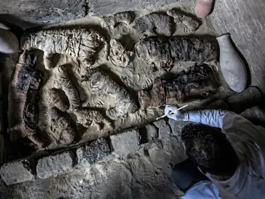 Seorang arkeolog Mesir membersihkan mumi kucing yang ditemukan di sekitar kompleks piramida Raja Userkaf di Saqqara, Giza, Sabtu (10/11). Puluhan mumi kucing dan koleksi langka mumi kumbang scarab telah ditemukan di tujuh sarkofagus. (KHALED DESOUKI/AFP)