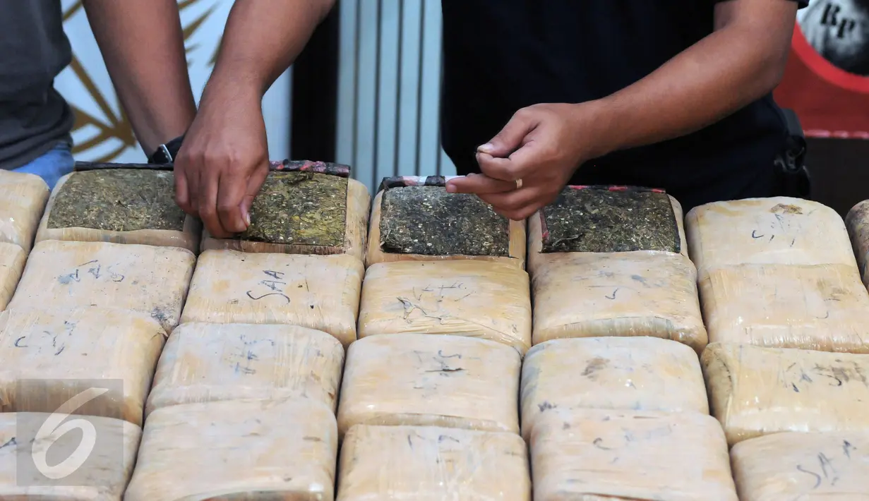 Petugas Dir IV Narkoba Mabes Polri memperlihatkan barang bukti ganja saat rilis di Jakarta, Selasa (24/5/2016). Petugas menahan enam orang tersangka dengan barang bukti narkoba jenis ganja seberat satu ton. (Liputan6.com/Helmi Fithriansyah)