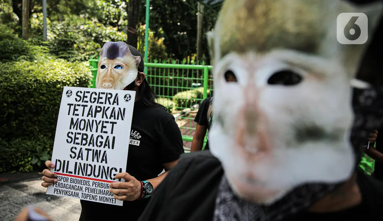 Massa yang tergabung dalam Koalisi Primates Fight Back mengenakan topeng monyet saat melakukan aksi di depan Kantor Kementerian Lingkungan Hidup dan Kehutanan, Jakarta, Senin (12/12/2022). Dalam aksinya mereka mendesak pemerintah untuk menetapkan monyet sebagai satwa dilindungi. (Liputan6.com/Faizal Fanani)