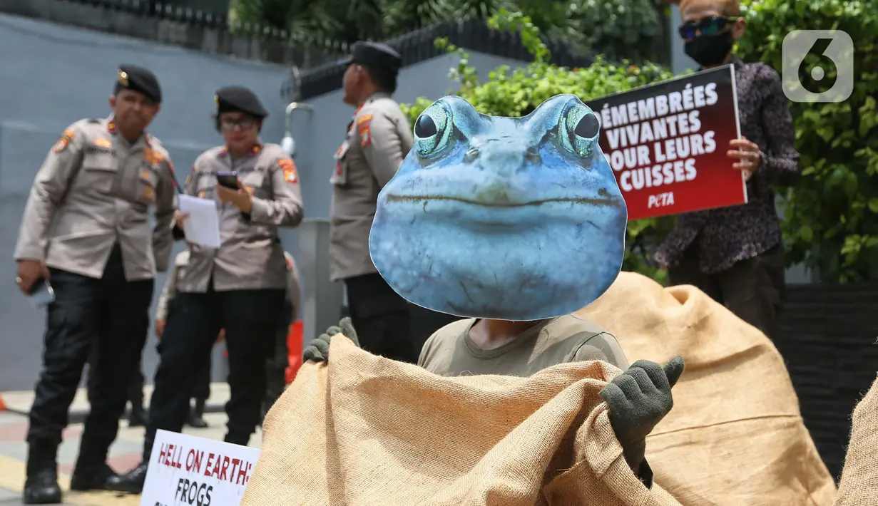 Diketahui, Prancis merupakan salah satu importir paha kodok terbesar di dunia. (Liputan6.com/Angga Yuniar)