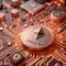 BitMine Beli Ethereum Rp 769,79 Miliar