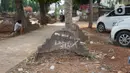 Warga beraktivitas di sekitar Taman Pemakaman Umum (TPU) Menteng Pulo, Jakarta, Selasa (3/12/2019). Pemprov DKI Jakarta berencana merevitalisasi 17 TPU serta akan melakukan perluasan lahan makam hingga 794,83 hektar. (Liputan6.com/Immanuel Antonius)