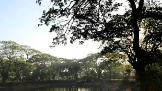 (Foto: Dok Humas Pemkot Surabaya)