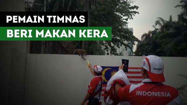 Para pemain Timnas Indonesia dan ofisial memberi makan ke kera-kera yang ada di Padang Kelab Aman setelah Latihan.