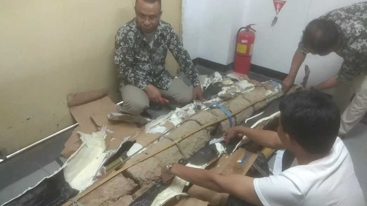 Fosil gading gajah purba yang ditemukan di Nganjuk. (Liputan6.com/Arie Nugraha)