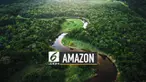 Ahli ekologi Oxford University Yadvinde Malhi memberi penjelasan. Efek oksigen Amazon bagi bumi sekitar 0%.
