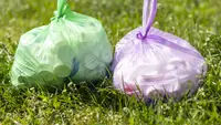 Ide Daur Ulang Sampah Plastik di Rumah untuk Lingkungan dan Dompet, Solusi Cerdas & Hemat