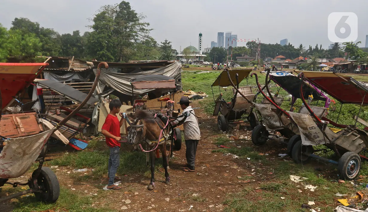 Pekerja mempersiapkan delman di kampung delman kawasan Menteng Dalam, Jakarta, Senin (27/9/2021). PPKM membuat pendapatan perkerja delman jauh menurun, bahkan sebagian pekerja harus pulang kampung lebih dulu. (Liputan6.com/Herman Zakharia)