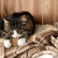 Ketahui lebih lanjut yuk!