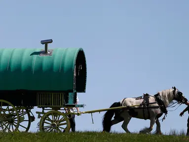 Anggota komunitas saat menarik kudanya yang dipasang karavan untuk mengikuti kegiatan tradisional selama Horse Fair di Westmorland , Inggris utara , 2 Juni 2016. Sejumlah penunggang atau penyuka kuda mengikuti acara ini. (REUTERS / Phil Noble)