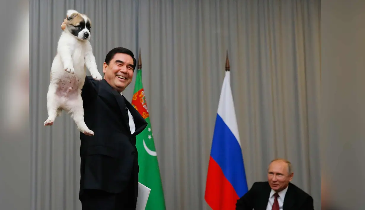 Presiden Turkmenistan Gurbanguly Berdimuhamedov menunjukkan anjing gembala Turkmen atau dikenal sebagai Alabai sebelum diberikan ke Presiden Rusia, Vladimir Putin saat pertemuan di Sochi, Rusia (11/10). (AFP Photo/Pool/Maxim Shemetov)