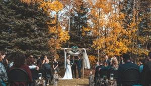 Ilustrasi pesta pernikahan. (unsplash.com)