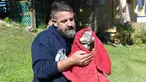 Seorang petugas membungkus iguana yang kaku kedinginan dengan selimut di Taman Nasional Everglades, Florida selatan, 6 Januari 2018. Sejumlah hewan ikut merasakan temperatur dingin ekstrem yang tengah melanda pesisir timur Amerika Serikat. (AP Photo)